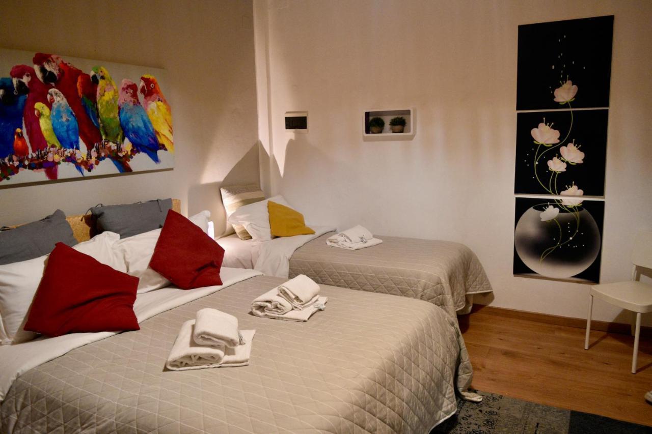 B&B Maggiore 58 Bologna Bagian luar foto