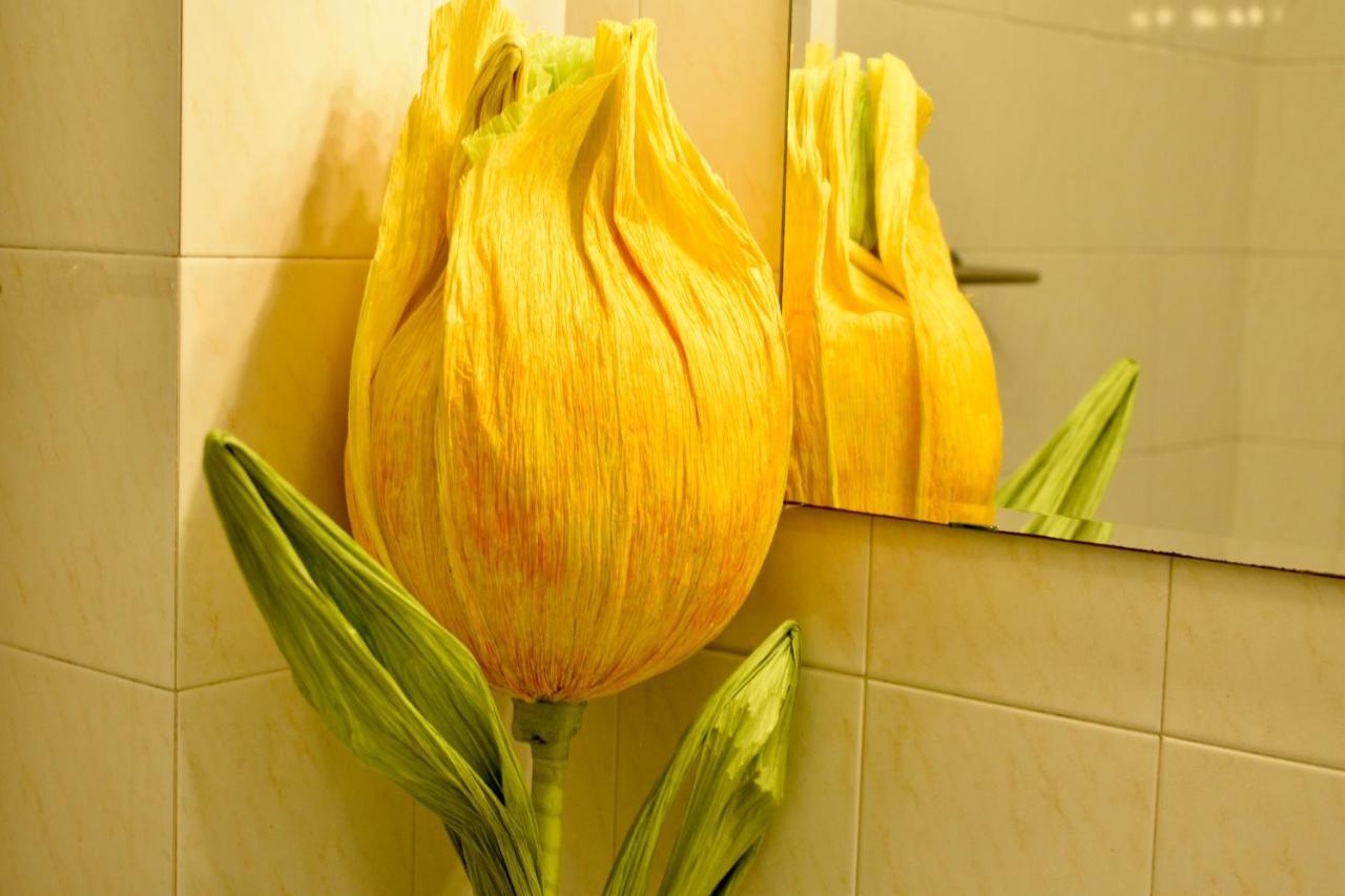 B&B Maggiore 58 Bologna Bagian luar foto